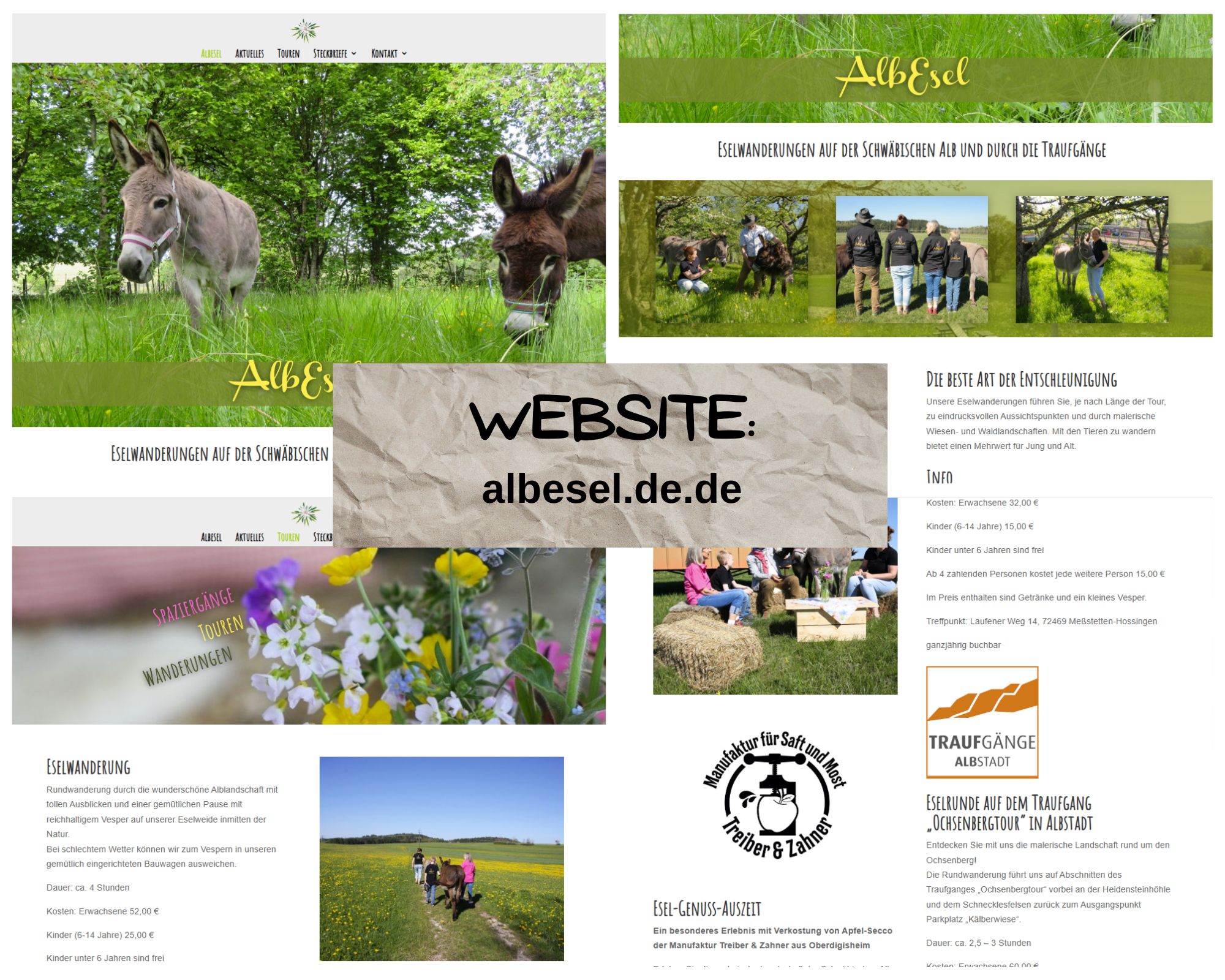 Bildercollage der webseite von albesel