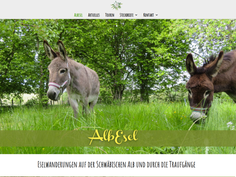 Screenshot Albesel Website