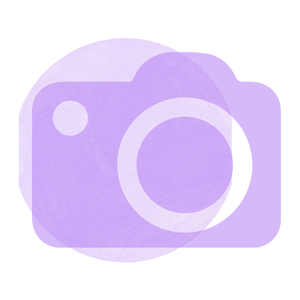 Icon eines Fotoapperates