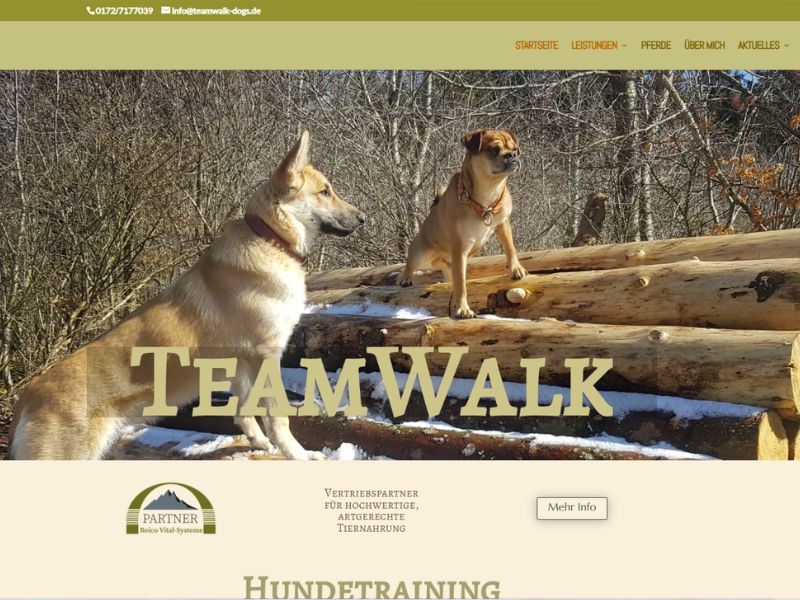 Screenshot der Startseite von teamwalk-dogs